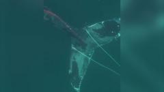 Fishermen rescue humpback whale tangled in rope