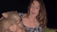 US influencer draws backlash for stealing baby wombat from mum