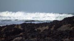 Man dies after tree falls onto caravan during Storm Goretti