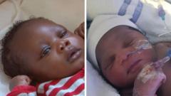 Abandoned baby Elsa to be adopted and regularly see two siblings